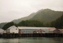 Days gone by