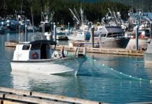Hauling their nets out in Cordova Harbor