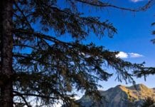 Blue skies over Eyak Lake