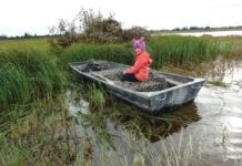Cordova Chronicles: Joys of that first duck hunt