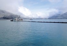 Measure would permanently reauthorize Oil Spill Liability Trust Fund