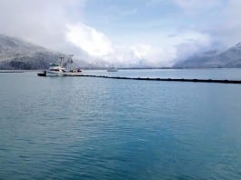 Measure would permanently reauthorize Oil Spill Liability Trust Fund