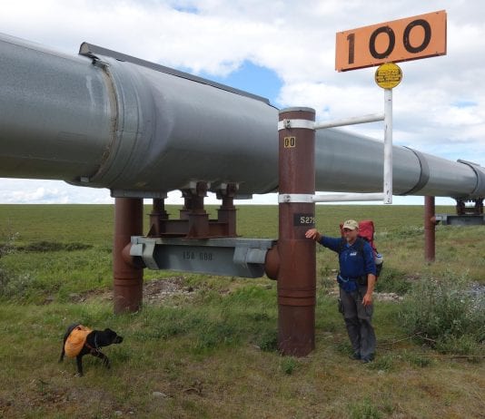 Legislators cautious of overreliance on high oil prices