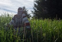Bering River Coal Field area protected from mining