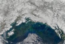 Cool phase forecast out for GOA in 2022 Gulf of Alaska