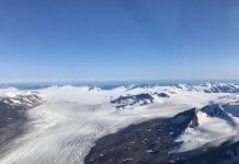 Algae’s athletic role in glacier melt