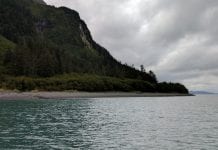 AMSEA offers water safety course for educators Shepard Point, a deep-water access site near Cordova. The U.S. Army Corps of Engineers has approved construction of oil spill response facility with access to the all-weather airport at Shepard Point, Native Village of Eyak announced on Oct. 16. Photos courtesy Native Village of Eyak