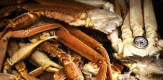 Fish Factor: Fall fisheries are getting underway