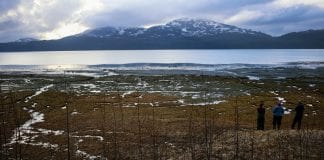 Citizen’s initiative would update Alaska’s salmon habitat laws