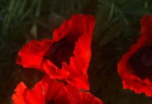 This week in photos: Signs of summer