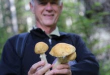 Celebrate Cordova’s harvest culture at the annual Fungus Festival The 13th annual Fungus Festival will take place from Aug. 30-Sept. 2. The event will showcase gourmet cooking from area, raising funds to support environmental sustainability efforts. Photo courtesy Cordova Chamber of Commerce