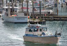 Fish Factor: Preliminary data shows dockside value of 2021 catch was nearly $644M