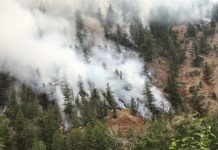 2 pilots die after firefighting helicopter crashes in Idaho