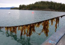 Updates proposed for national standards for fisheries