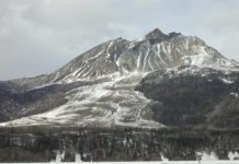 Glaciers made of rock, ice and bear scat