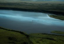 NPFMC solicits nominations for tribal seat A float plane touches down on the water in King Salmon, Alaska. Photo by Jeremy Bishop/Unsplash