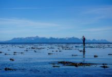 PWS Hope Spot designation causing concern among some commercial fishermen