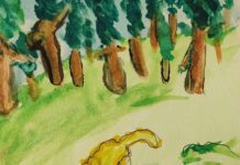 Photos | Cordova High School student watercolor