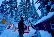 Local family creates interactive holiday light show for the community