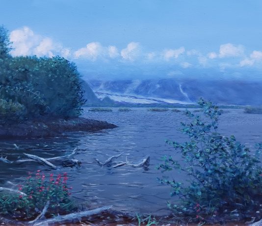 Rosenthal teaches the science of melting glaciers through art