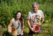 Bountiful berries: Cordova rejoices in seasonal wild harvest