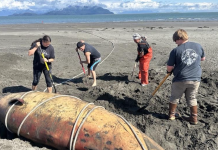 The discovery of a rare beached whale in Boswell Bay triggered quick teamwork by tribal, university, state and federal agencies