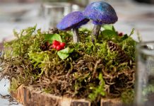 Register for Fungus Festival
