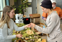 Fungus Fest brings art, education and food to Cordova