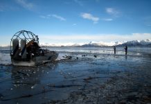 In quest of northern birds