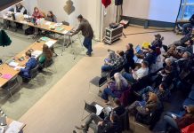 Virtual Board of Fisheries meeting will consider four proposals
