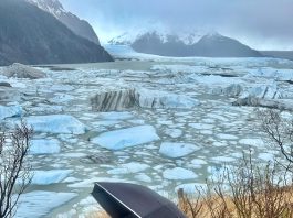 Artists For Nature begins new Cordova project about ‘two halves of a beating heart’