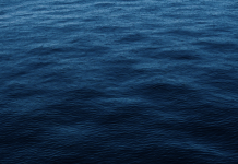 NOAA Fisheries seeks comment on aquaculture opportunity