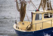 Bill to combat illegal foreign seafood harvest passes Senate