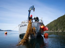 Lankard: Ocean farming is key to feeding our people, healing the ocean