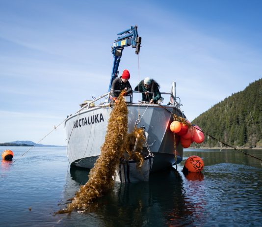 Lankard: Ocean farming is key to feeding our people, healing the ocean
