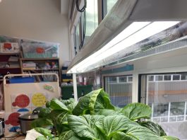 Commentary: Science, culture, and community connections