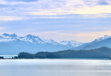 Proposed roadmap would strengthen seafood industry competitiveness
