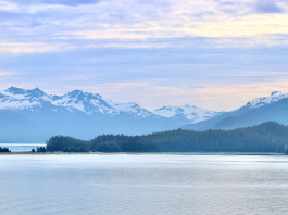 How do Alaska animals sleep in the summer?