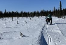 Alaska bike journey rolls along
